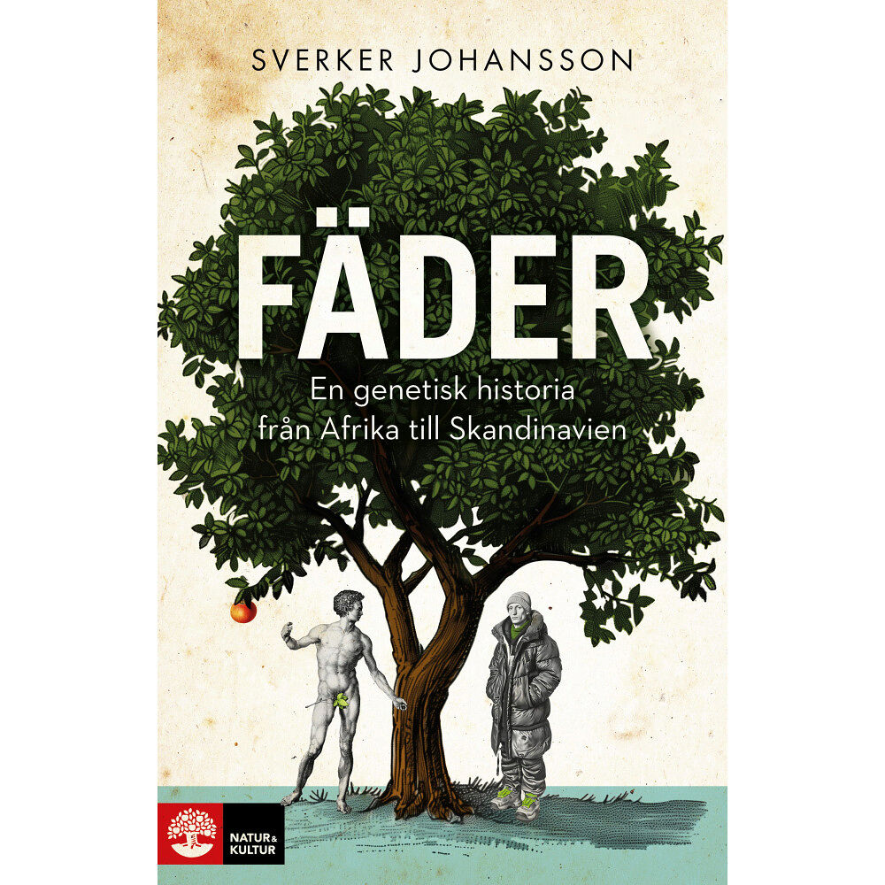 Sverker Johansson Fäder : en genetisk historia från Afrika till Skandinavien (inbunden)