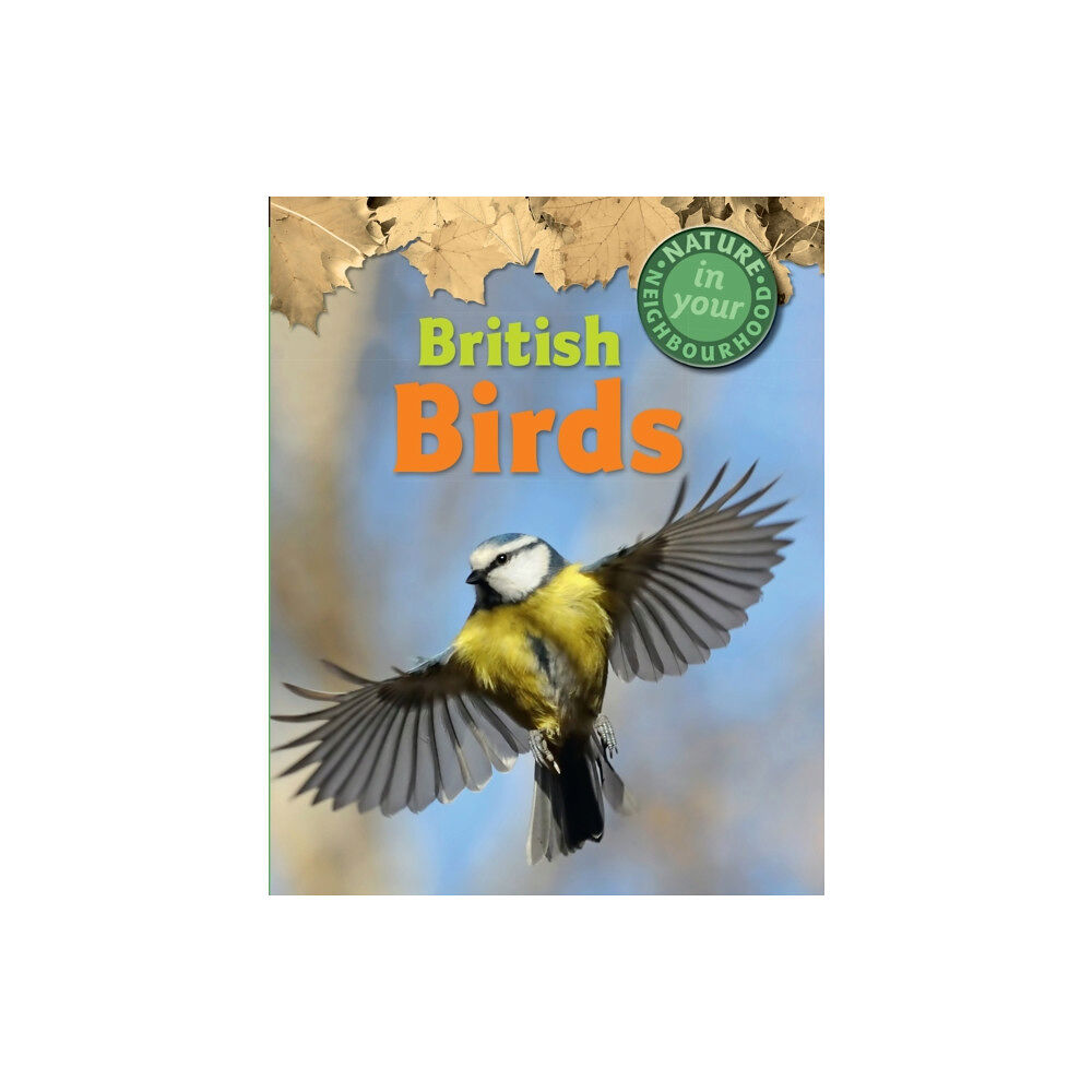 Hachette Children's Group Nature in Your Neighbourhood: British Birds (häftad, eng)