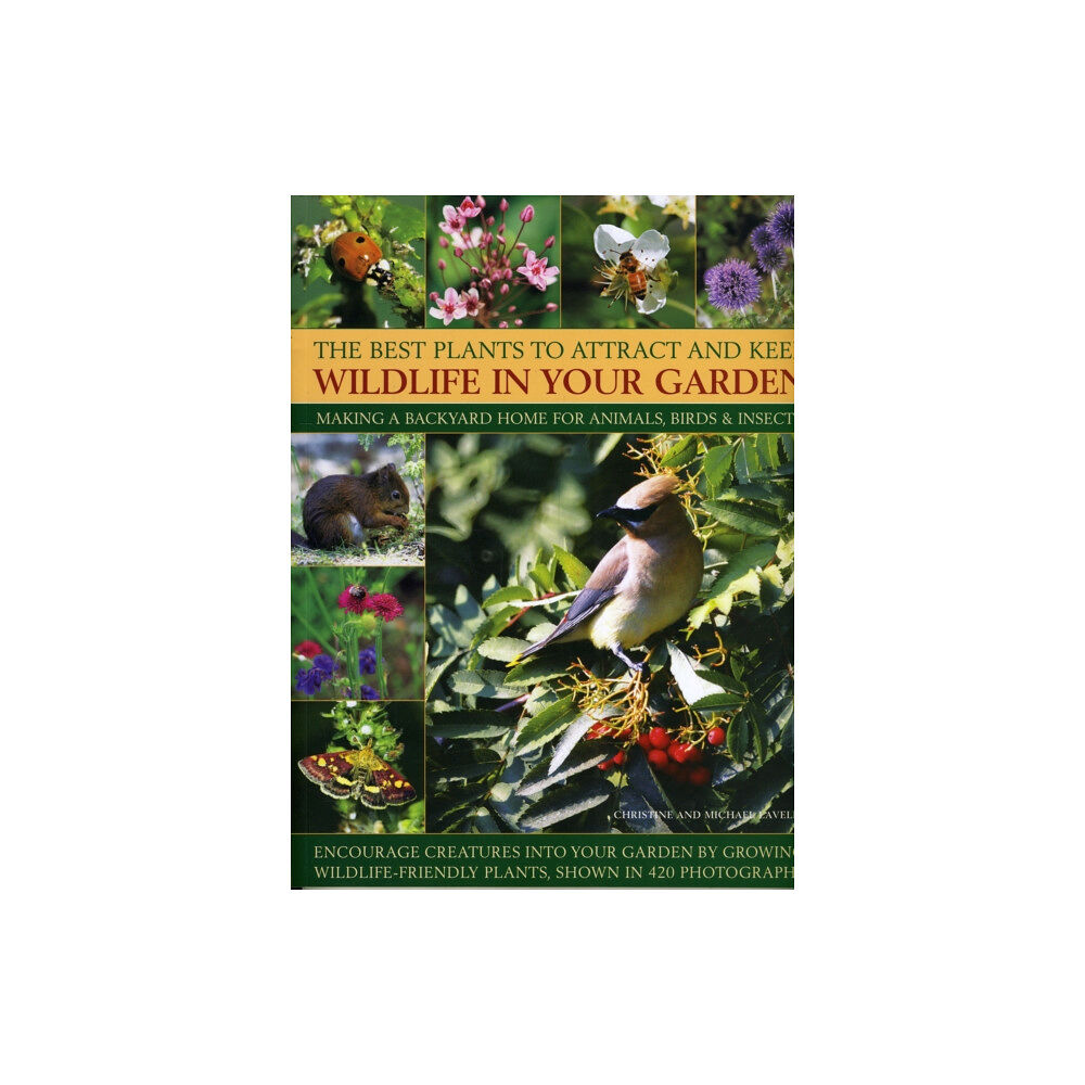 Anness publishing Best Plants to Attract and Keep Wildlife in the Garden (häftad, eng)