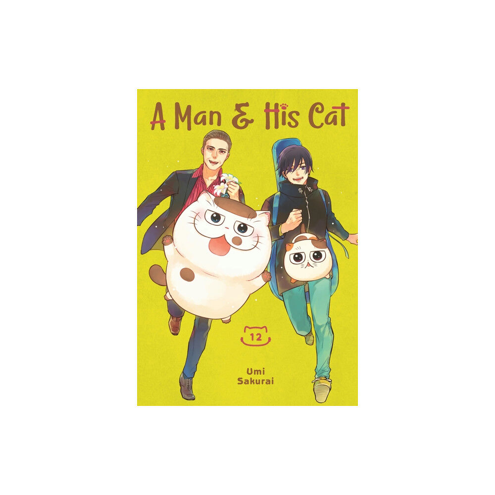 Square Enix A Man and His Cat 12 (häftad, eng)