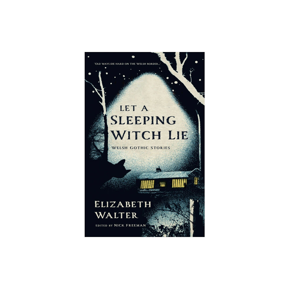 Poetry Wales Press Let a Sleeping Witch Lie (häftad, eng)