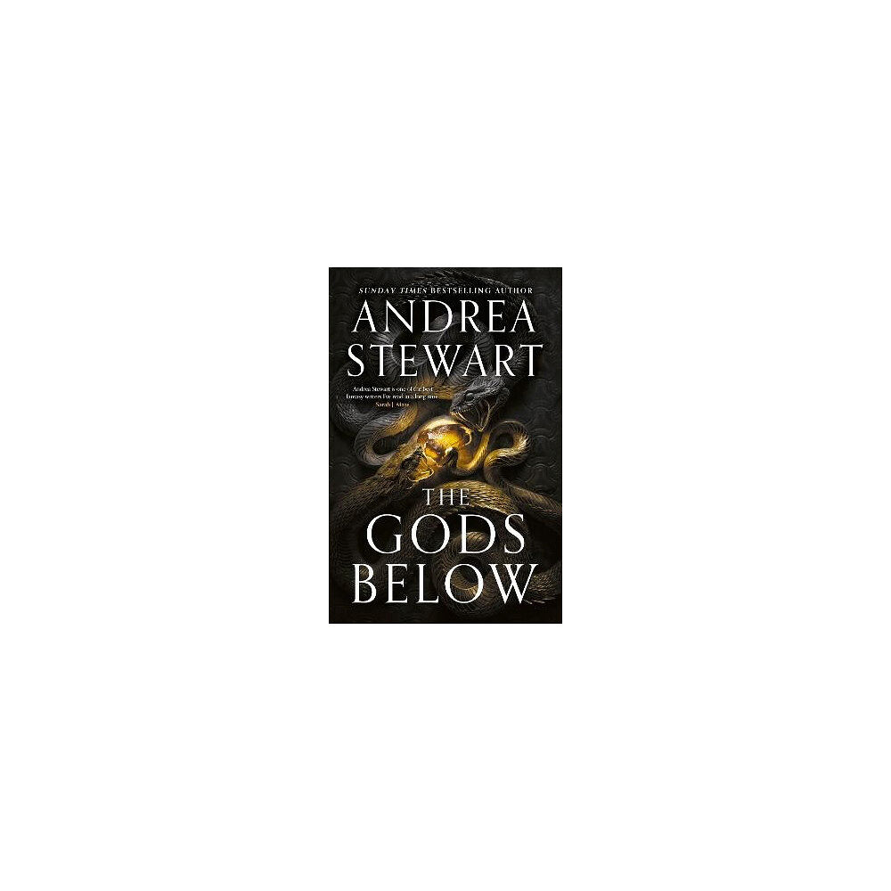 Andrea Stewart The Gods Below (häftad, eng)