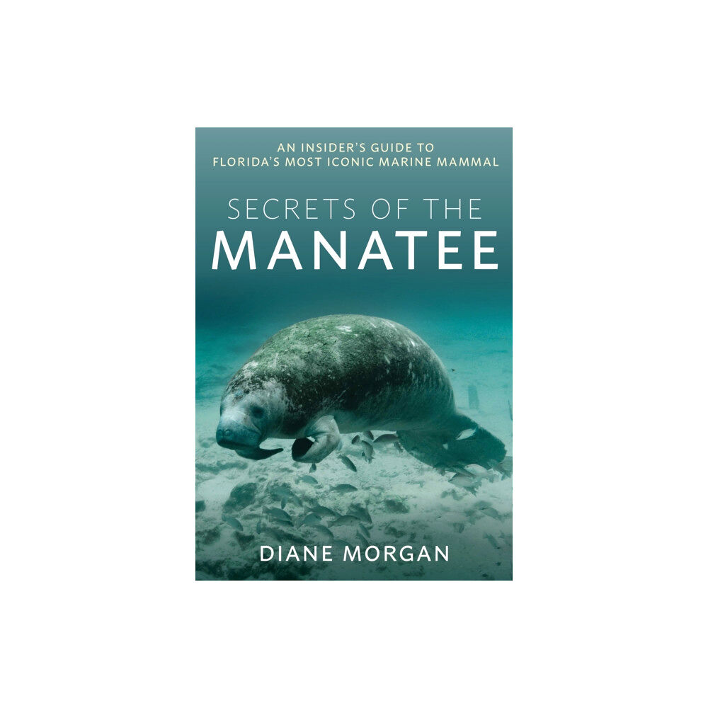 Rowman & littlefield Secrets of the Manatee (häftad, eng)