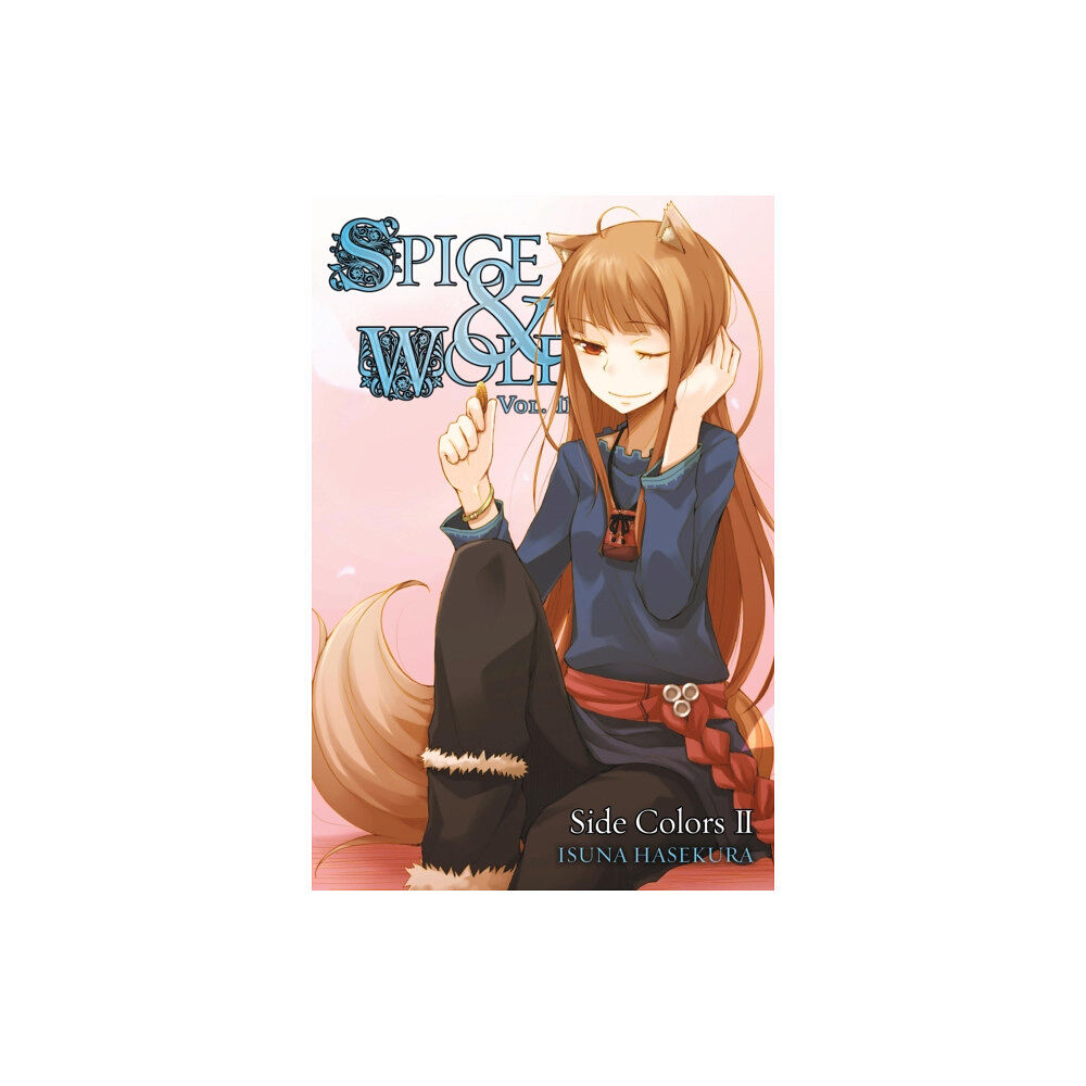 Little, Brown & Company Spice and Wolf, Vol. 11 (light novel) (häftad, eng)