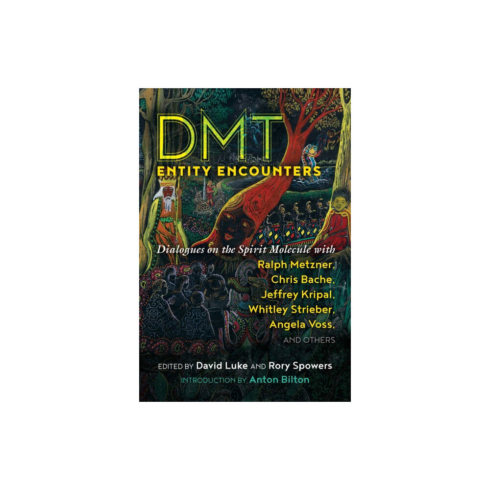 Inner Traditions Bear and Company DMT Entity Encounters (häftad, eng)