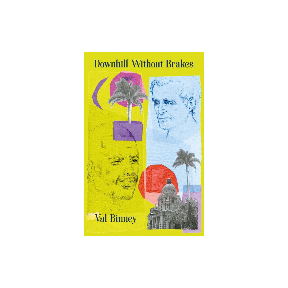 Troubador Publishing Downhill Without Brakes (häftad, eng)