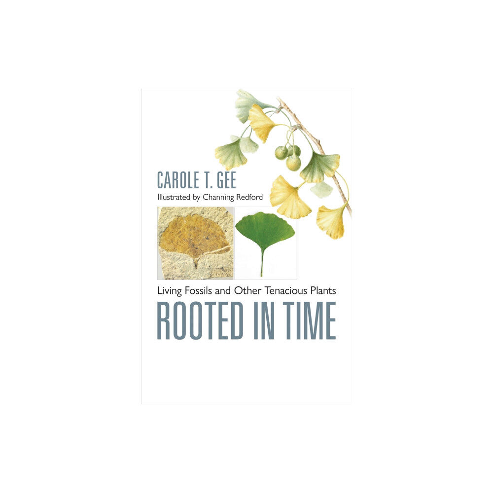 Johns Hopkins University Press Rooted in Time (inbunden, eng)