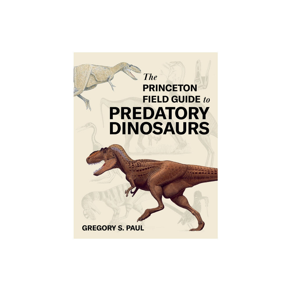 Princeton University Press The Princeton Field Guide to Predatory Dinosaurs (inbunden, eng)