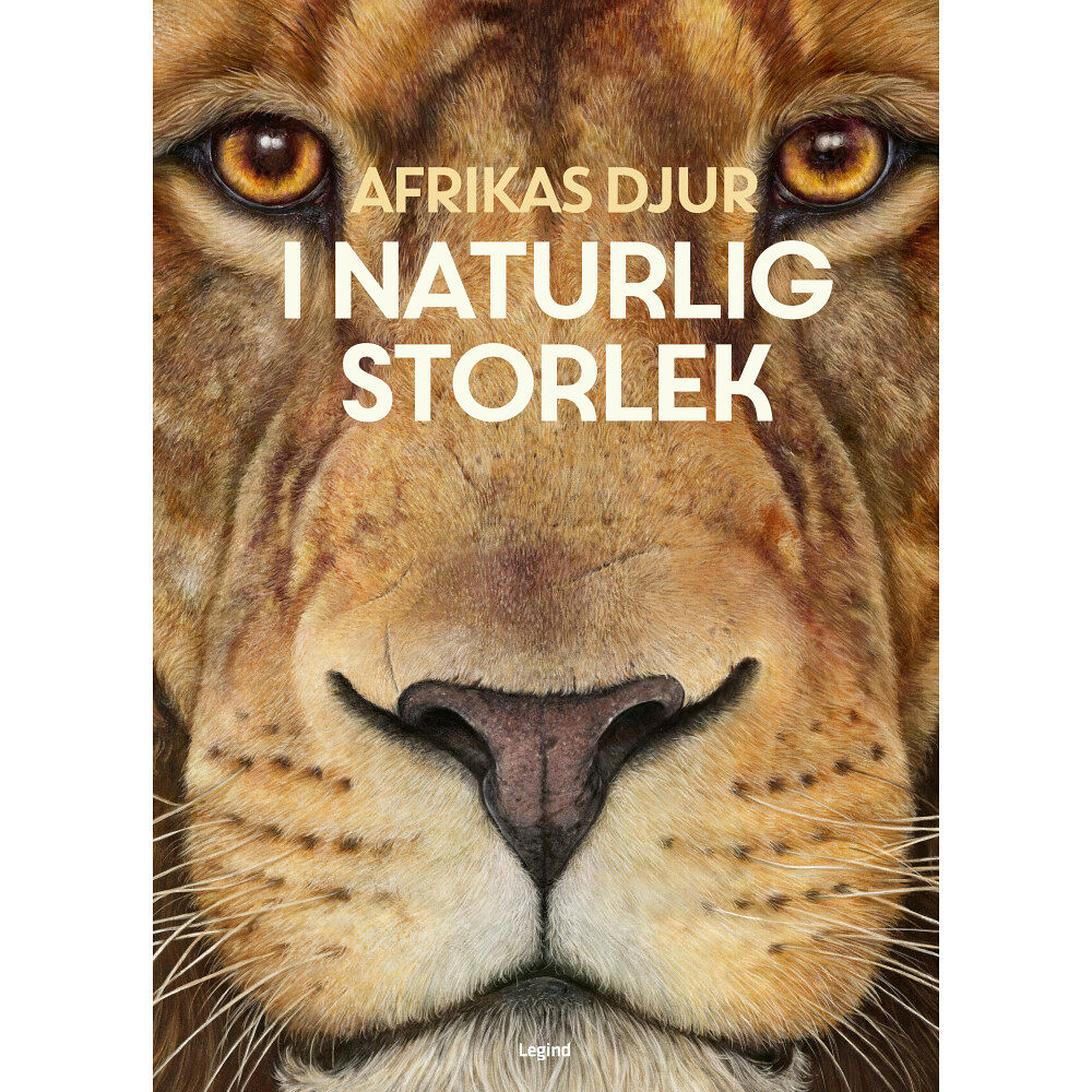 Holger Haag Afrikas djur : i naturlig storlek (inbunden)