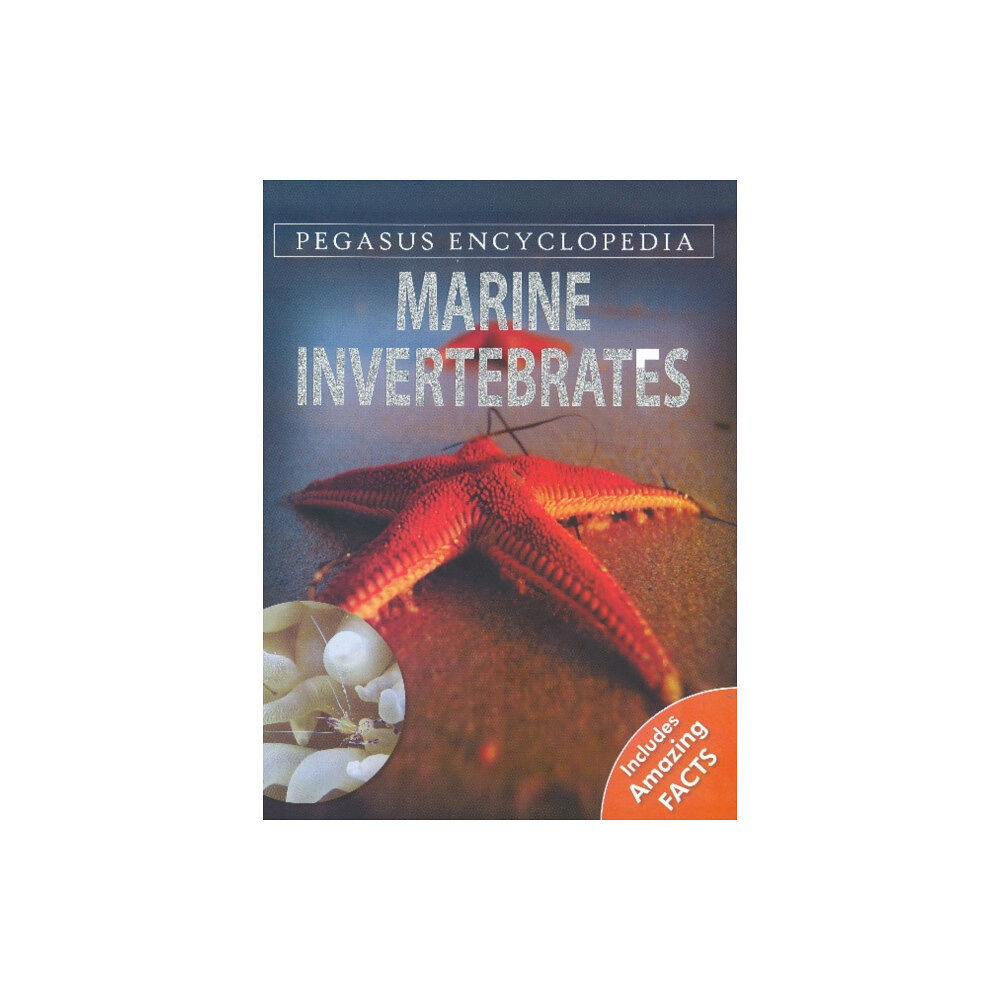 B Jain Publishers Pvt Ltd Marine Invertebrates (inbunden, eng)