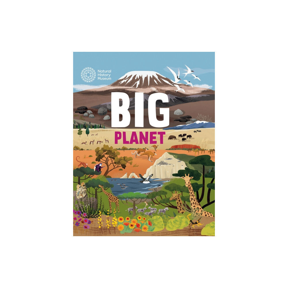 Hachette Children's Group Big Planet (häftad, eng)