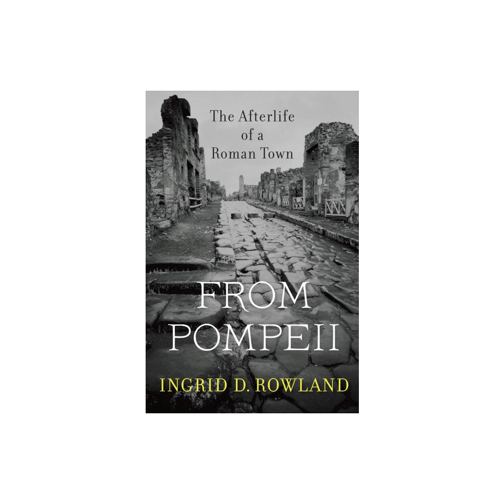 Harvard university press From Pompeii (häftad, eng)