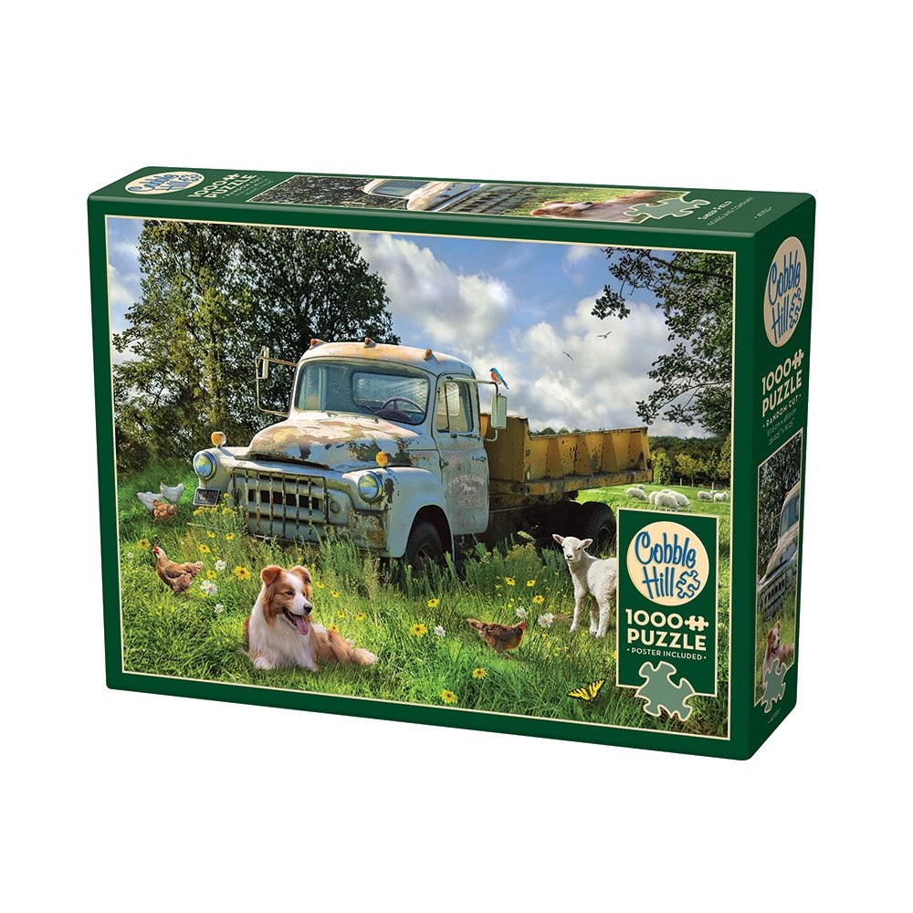 Cobble Hill Sheep Field (1000 b)