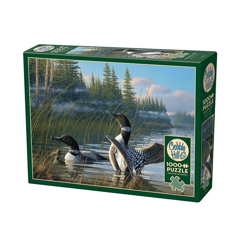 Cobble Hill Common Loons (1000 b)