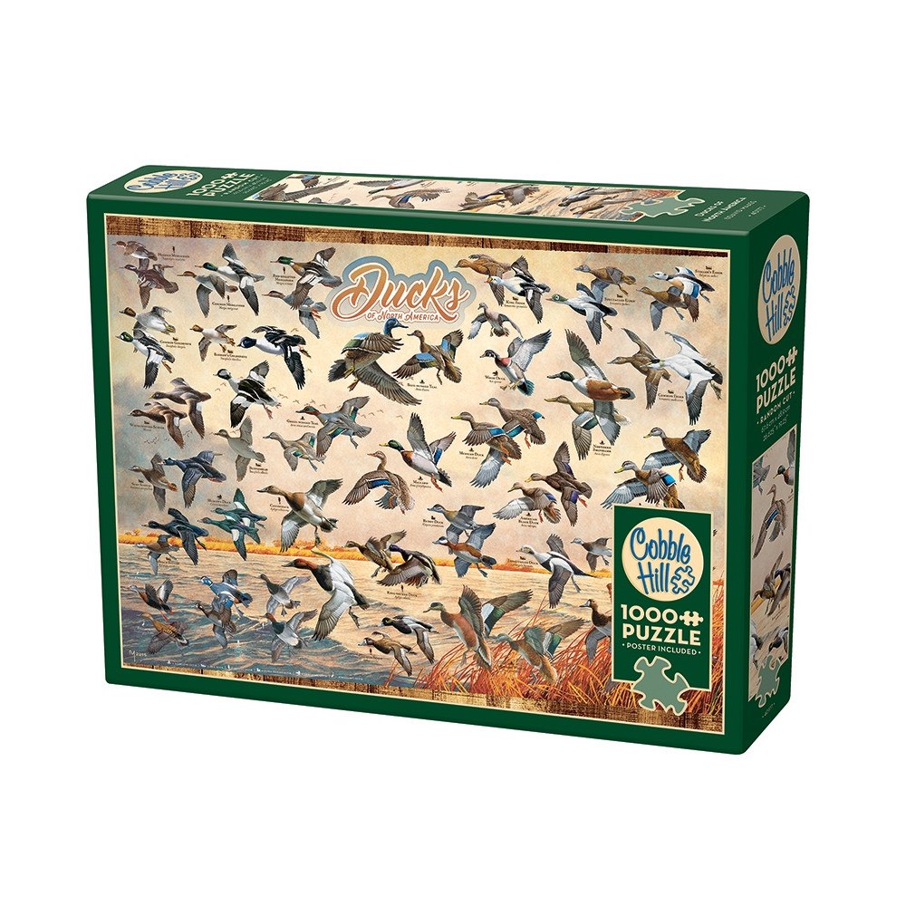 Cobble Hill Ducks of North America (1000 b)