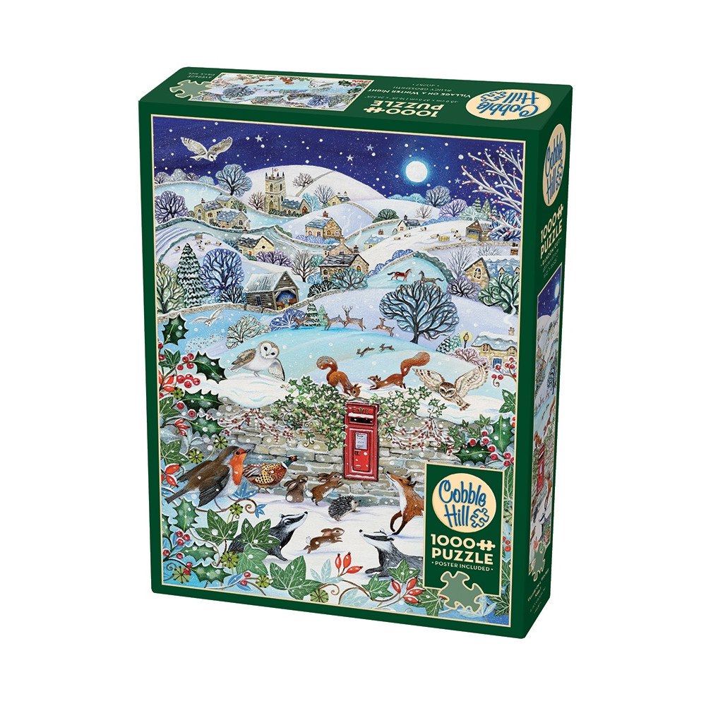 Cobble Hill Village on a Winter Night (1000 b)