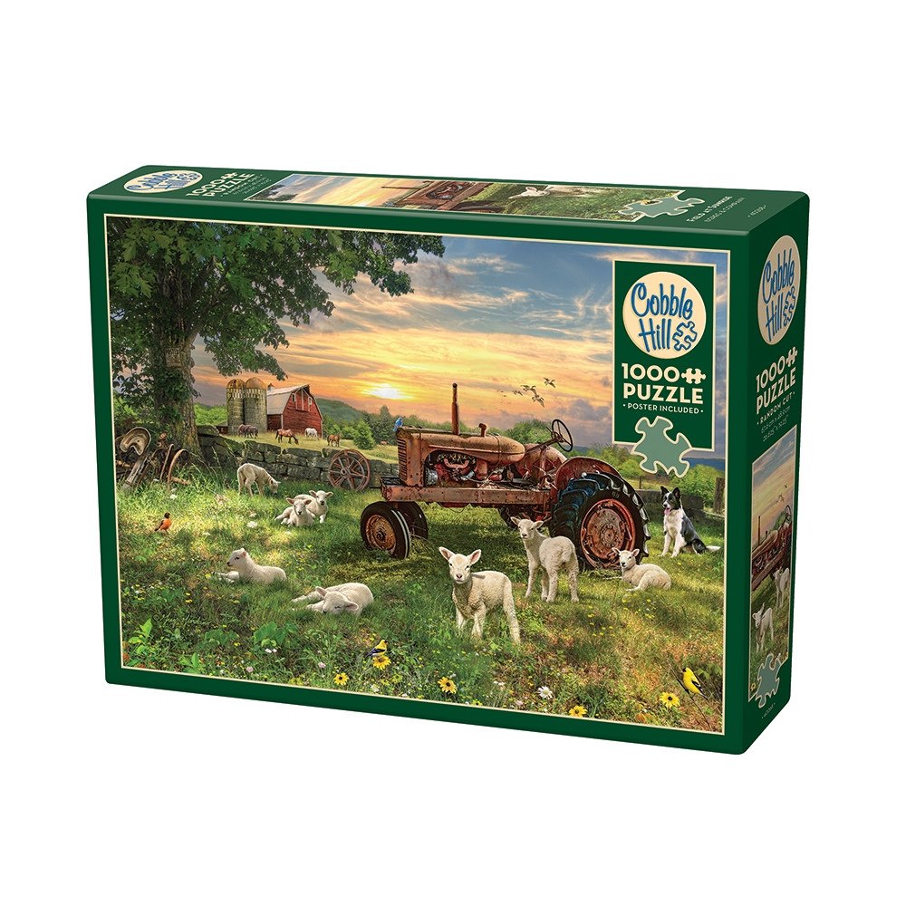 Cobble Hill Field at Sunrise (1000 b)