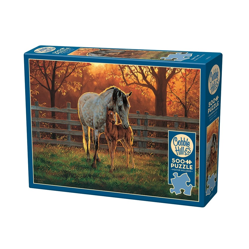 Cobble Hill Quiet Time (500 b) Cobble & Hill