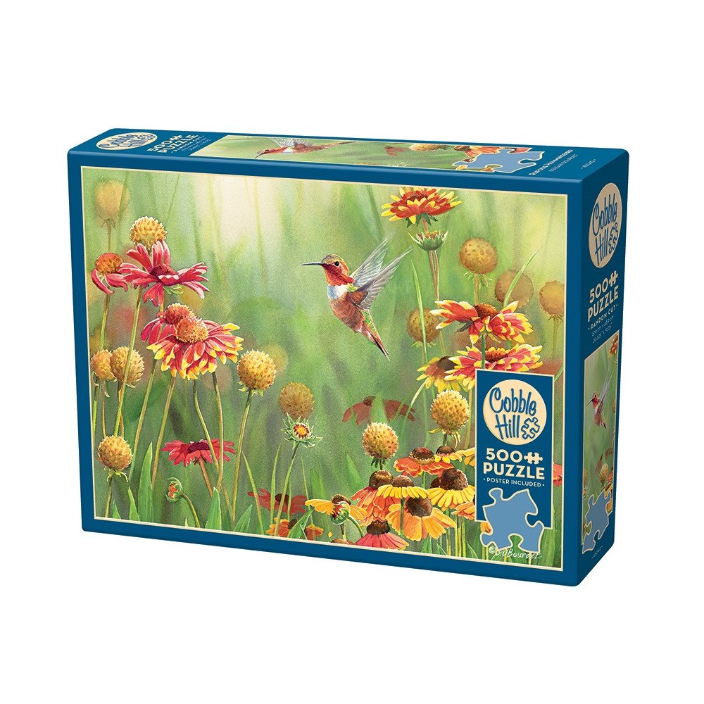 Cobble Hill Rufous Hummingbird (500 b) Cobble & Hill