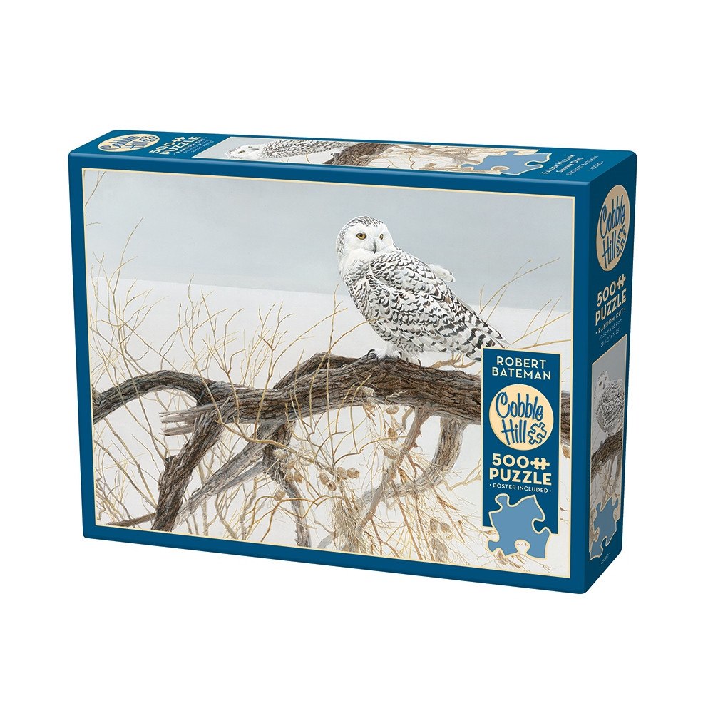 Cobble Hill Fallen Willow Snowy Owl (500 b) Cobble & Hill