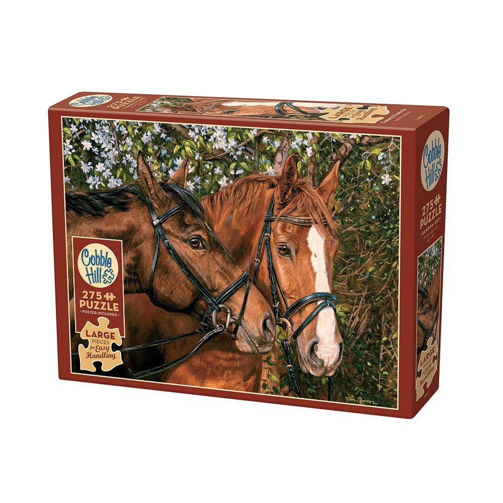 Cobble Hill Friends Forever (275 Stora Bitar)