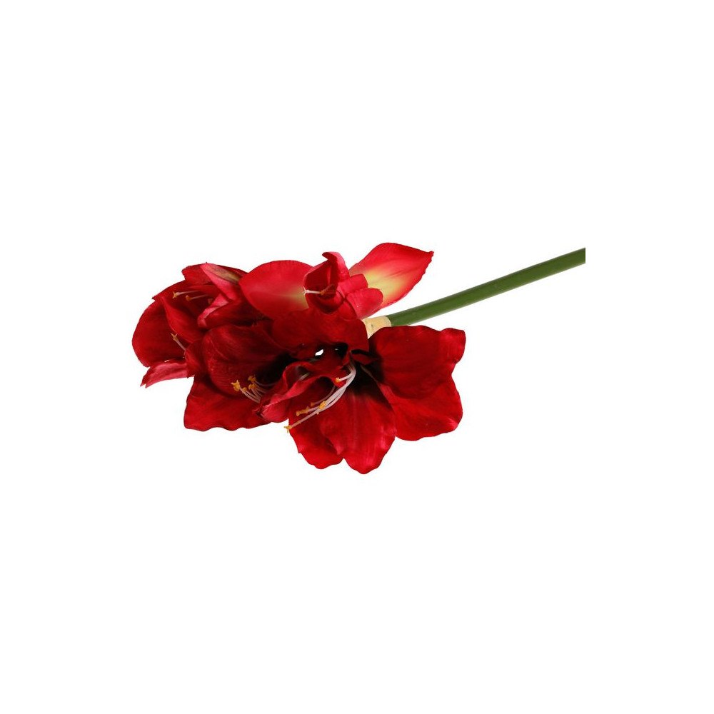 No Brand Dekoration Amaryllis 50cm