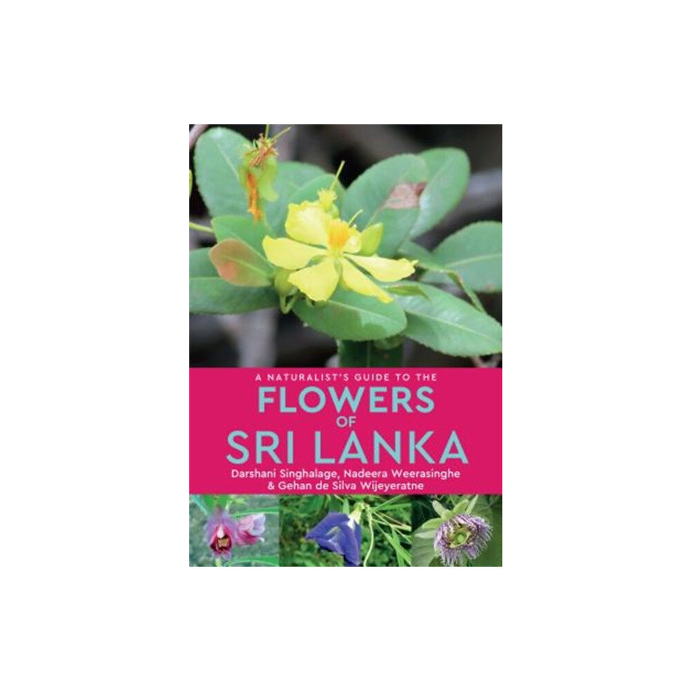 John Beaufoy Publishing Ltd A Naturalist’s Guide to the Flowers of Sri Lanka (häftad, eng)