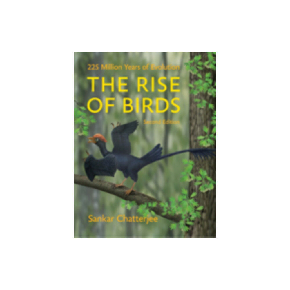 Johns Hopkins University Press The Rise of Birds (inbunden, eng)