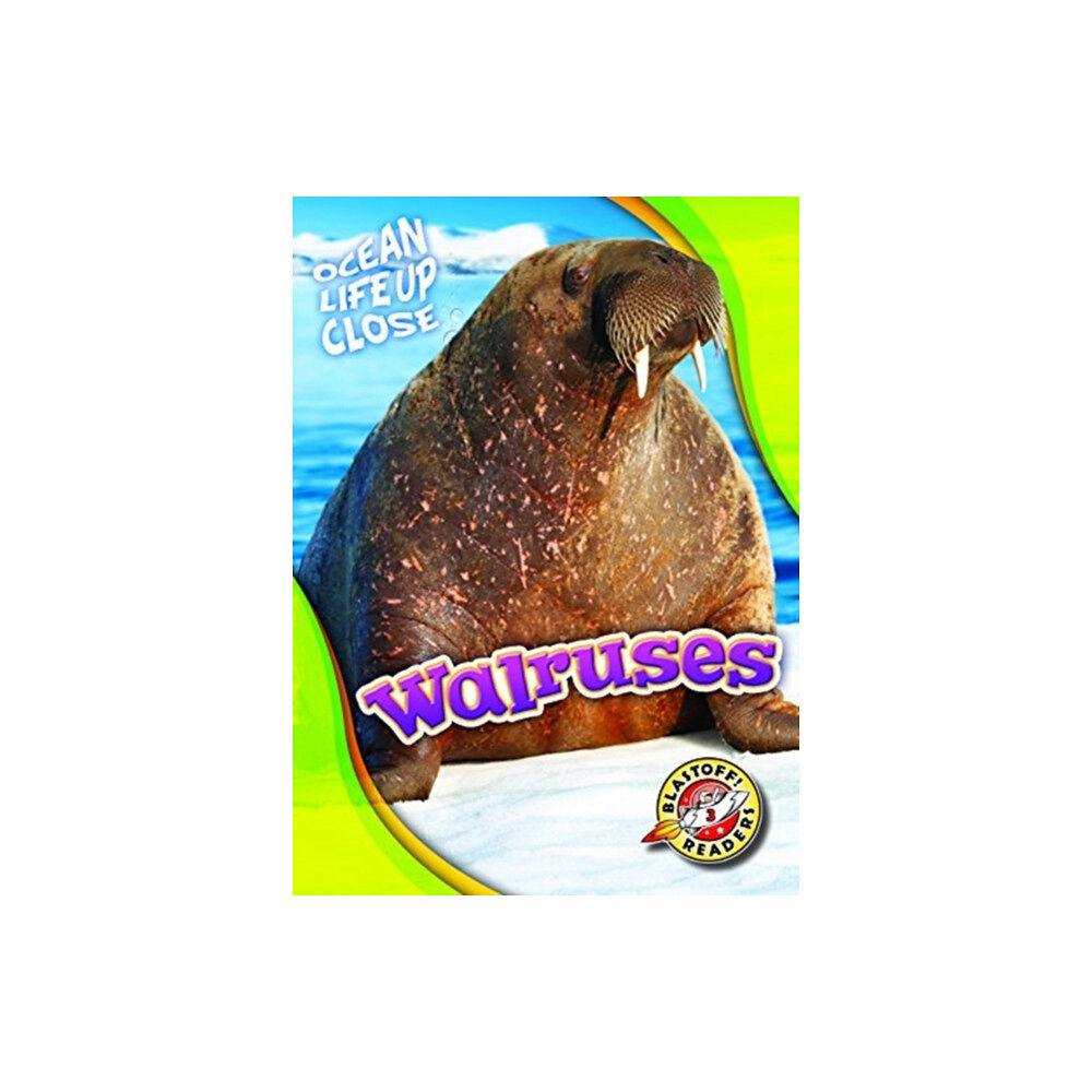 Bellwether Media Walruses (inbunden, eng)