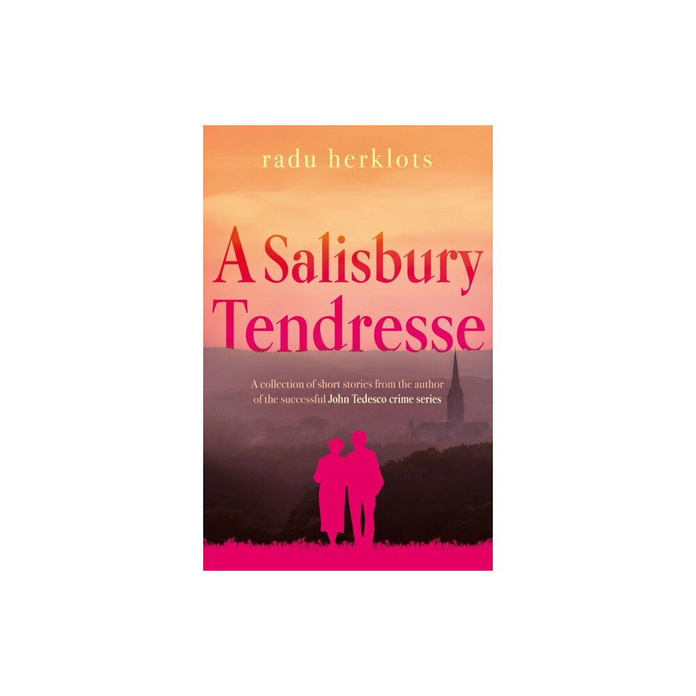 Troubador Publishing A Salisbury Tendresse (häftad, eng)