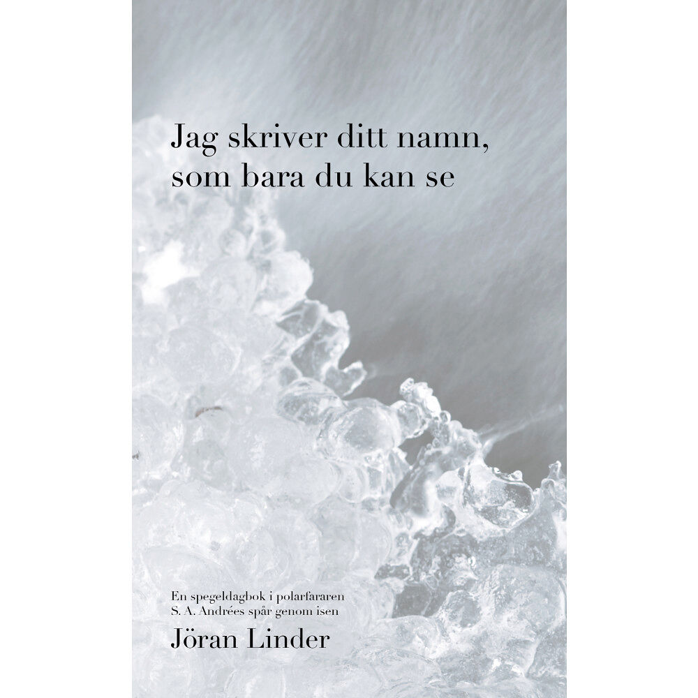 Jöran Linder Jag skriver ditt namn som bara du kan se: En spegeldagbok i polarfararen S. A. Andrées spår genom isen (bok, danskt band...