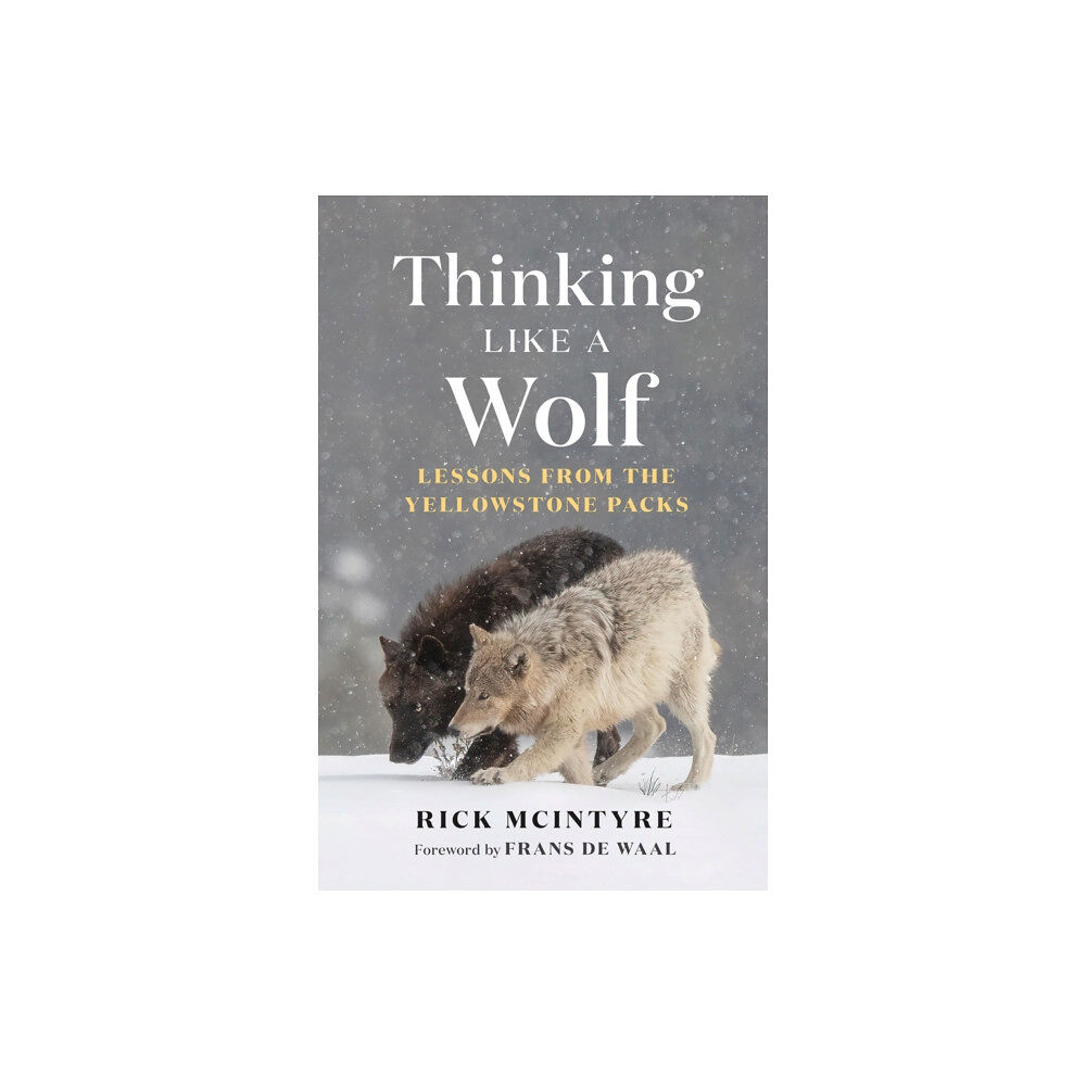 Greystone Books,Canada Thinking Like a Wolf (inbunden, eng)