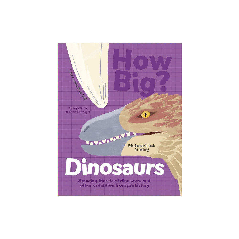 Arcturus publishing ltd How Big? Dinosaurs (inbunden, eng)