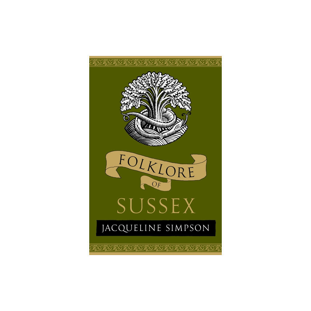 The History Press Ltd Folklore of Sussex (häftad, eng)