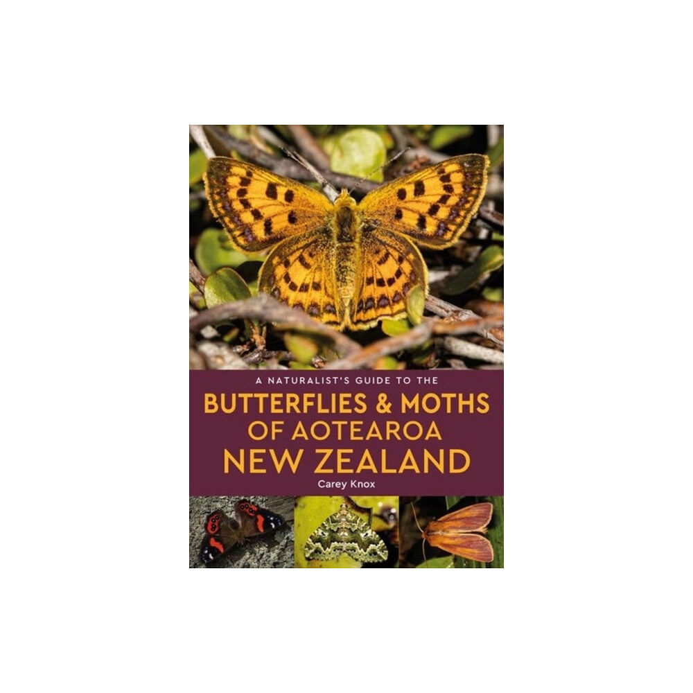 John Beaufoy Publishing Ltd A Naturalist's Guide to the Butterflies & Moths of Aotearoa New Zealand (häftad, eng)