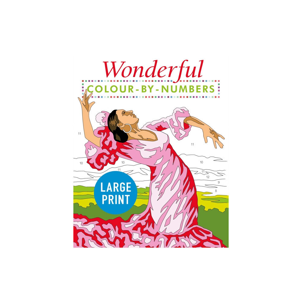 Arcturus publishing ltd Wonderful Colour by Numbers Large Print (häftad, eng)