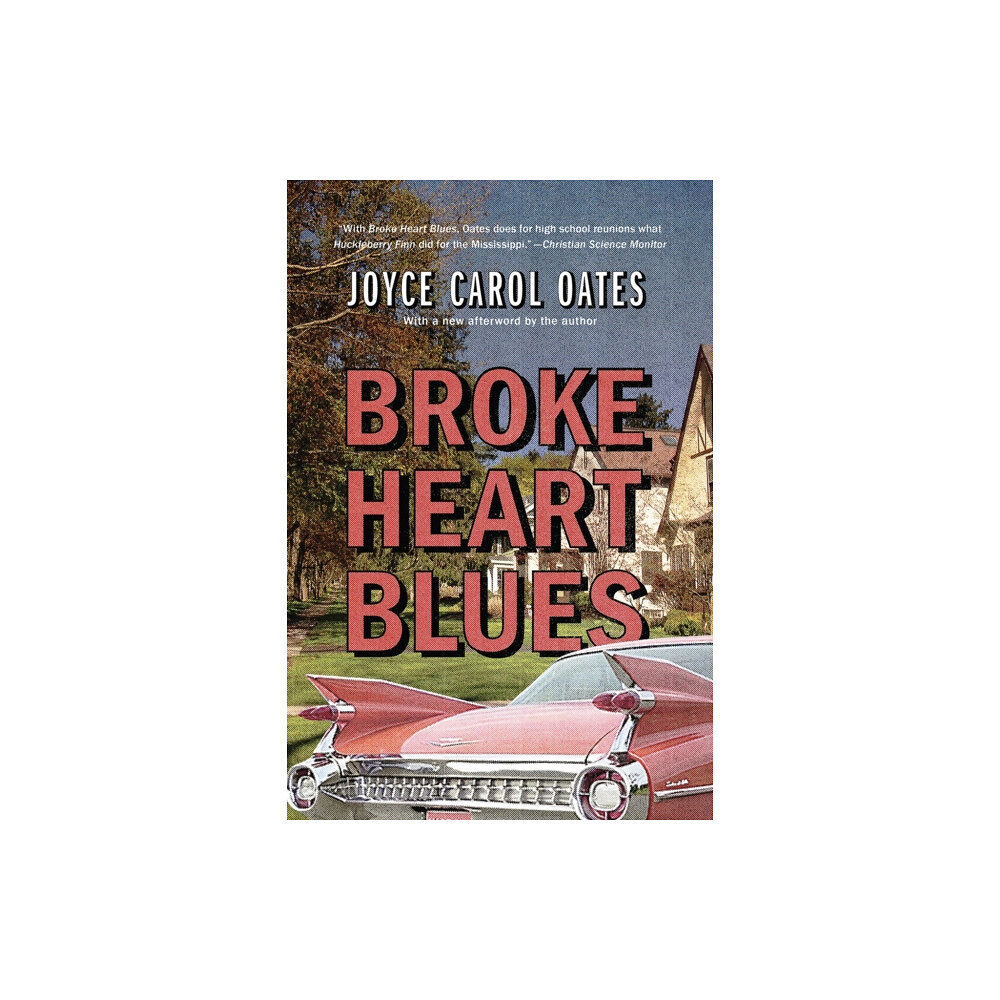 Akashic Books,U.S. Broke Heart Blues (häftad, eng)