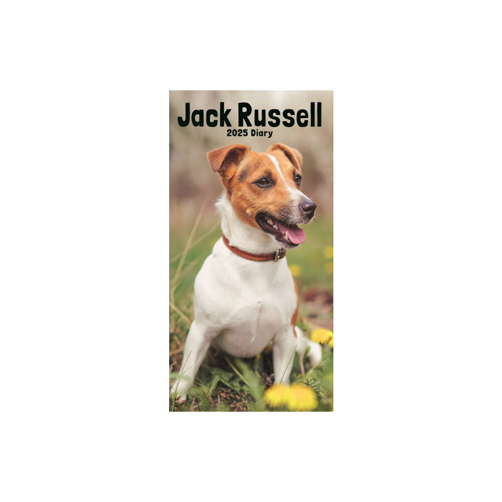 Carousel Calendars Jack Russell Terriers Slim Diary 2025 (häftad, eng)