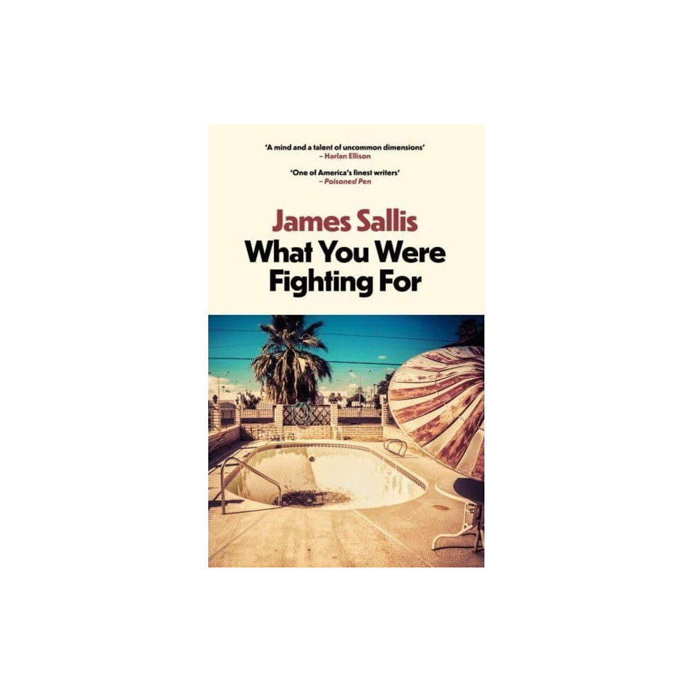 Bedford Square Publishers What You Were Fighting For (häftad, eng)