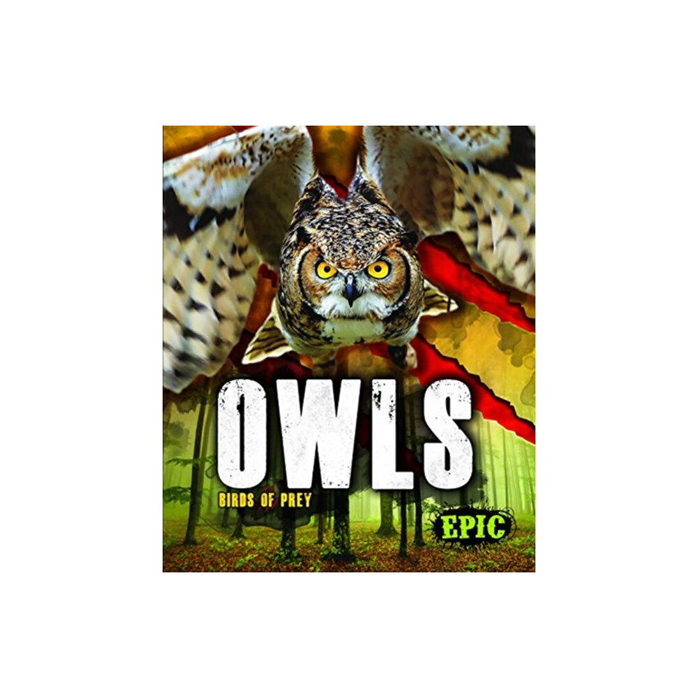 Bellwether Media Owls (inbunden, eng)