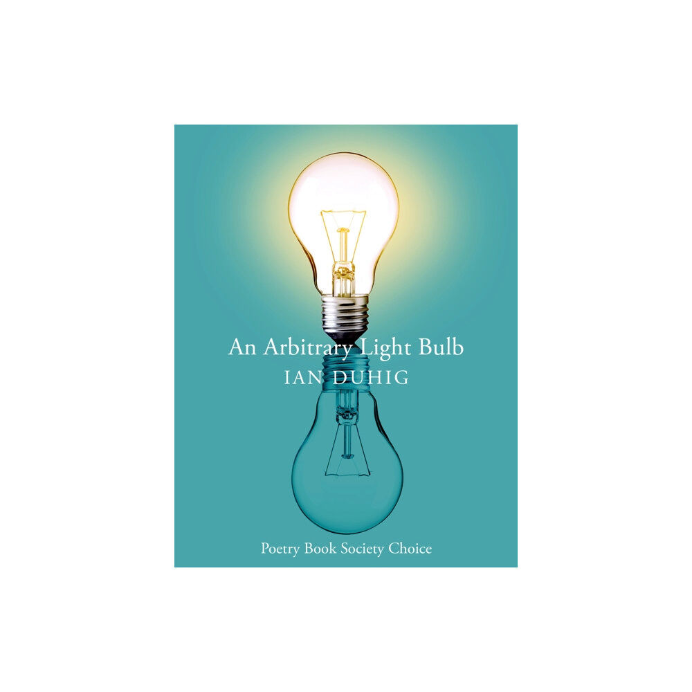 Pan Macmillan An Arbitrary Light Bulb (häftad, eng)