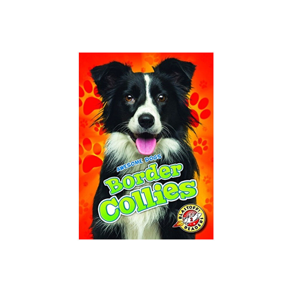 Bellwether Media Border Collies (inbunden, eng)