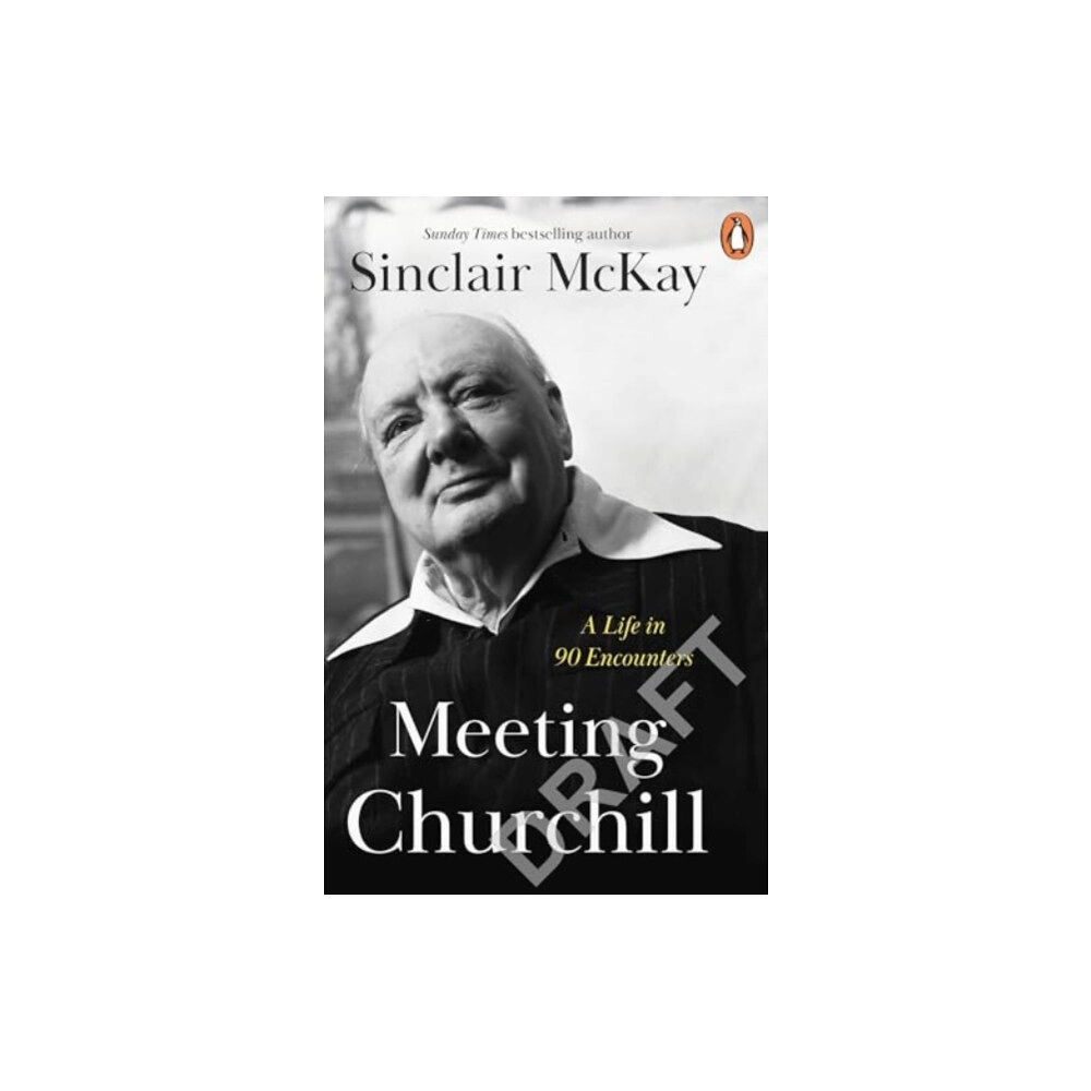 Penguin books ltd Meeting Churchill (häftad, eng)