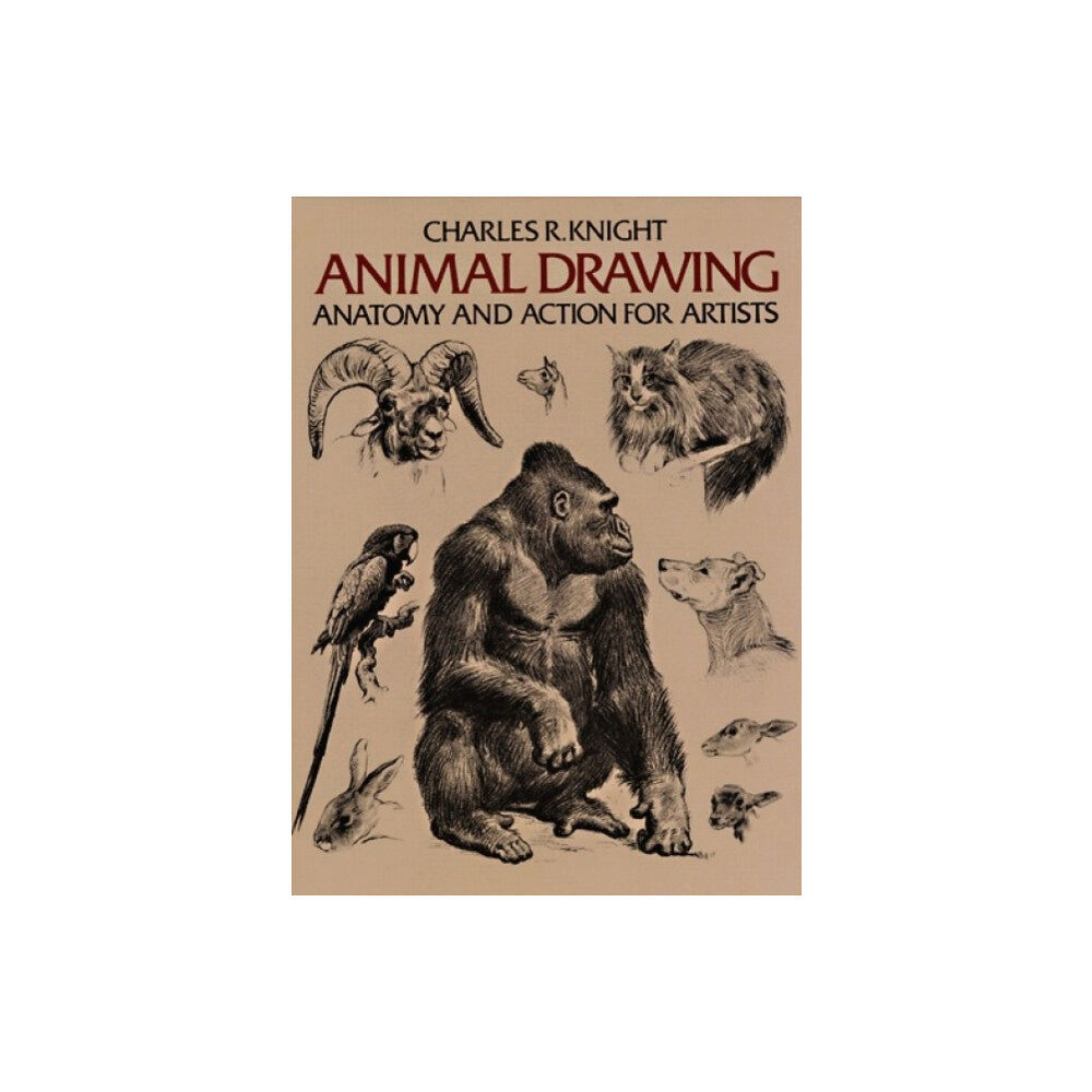 Dover publications inc. Animal Drawing (häftad, eng)