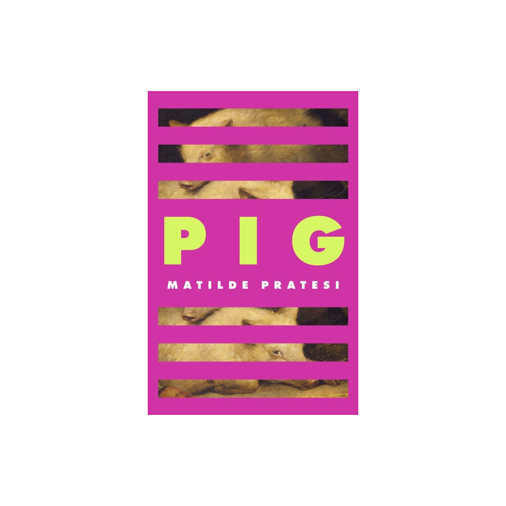 Little, Brown Book Group Pig (inbunden, eng)