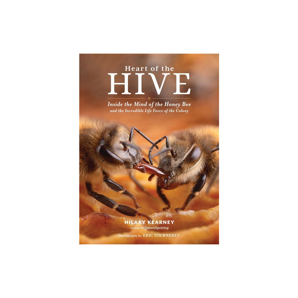 Workman Publishing Heart of the Hive (inbunden, eng)