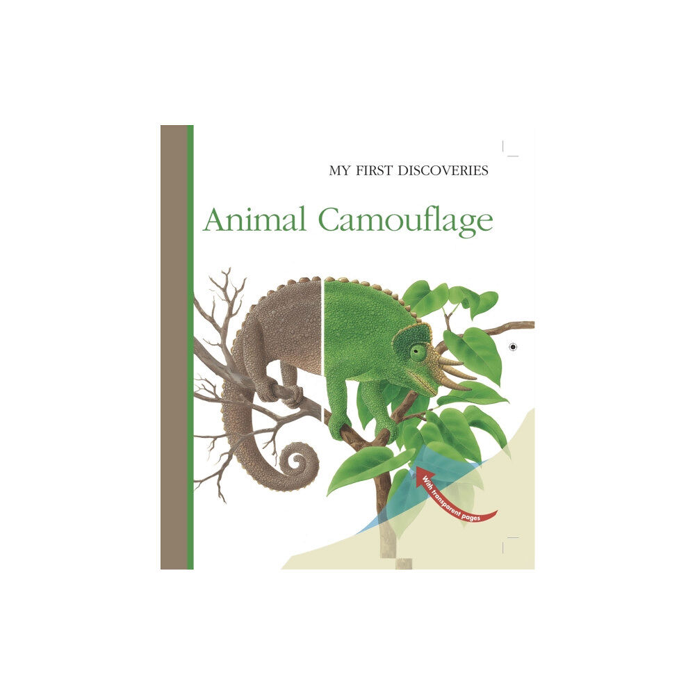 Moonlight Publishing Ltd Animal Camouflage (inbunden, eng)