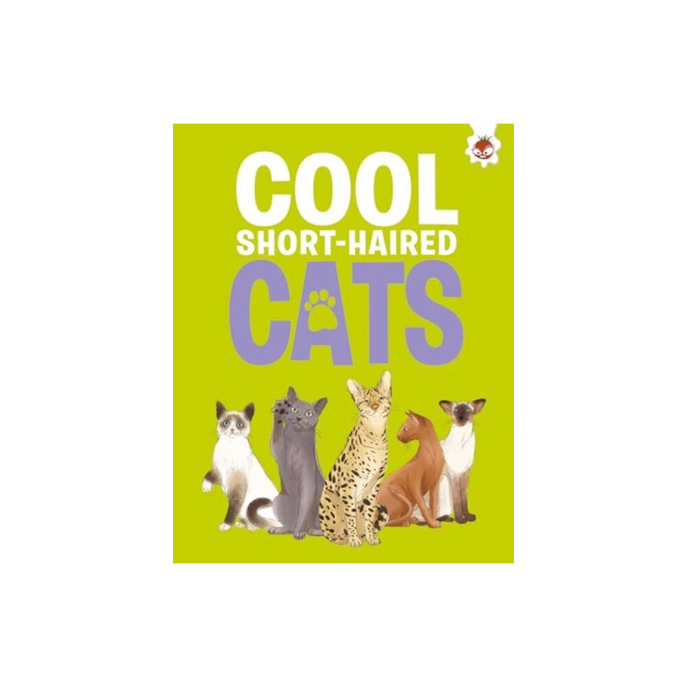 Hungry Tomato Ltd Cool Short-Haired Cats (häftad, eng)