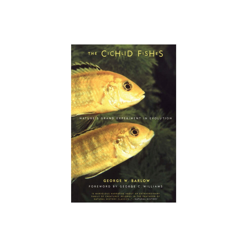 INGRAM PUBLISHER SERVICES US The Cichlid Fishes (häftad, eng)