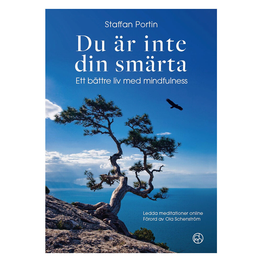 Staffan Portin Du är inte din smärta : ett bättre liv med mindfulness (inbunden)